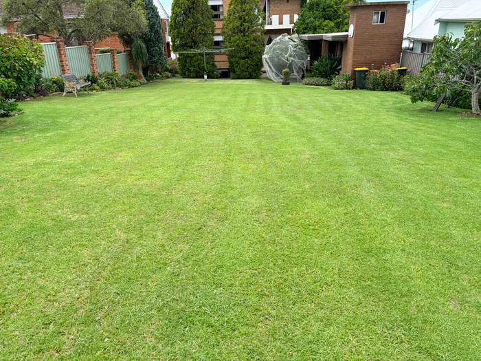 A large, evenly mown backyard lawn with clean stripes, garden beds and a brick house at the far end