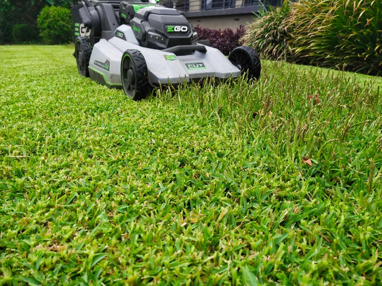 Close-up of a lawn mid-mow: freshly cut grass on the left, longer uncut grass on the right, mower in the background