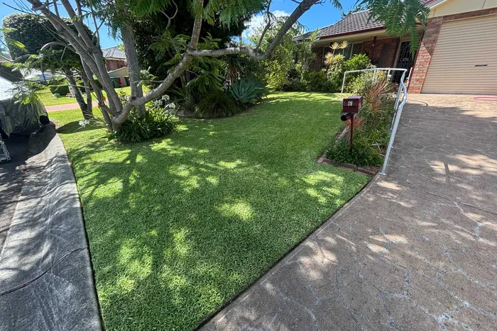 Freshly mown and edged front lawn beside a paved driveway, with a letterbox and shade trees