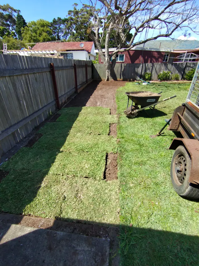 Backyard lawn renovation in progress: fresh rolls of turf laid along a timber fence, with a wheelbarrow and trailer beside the strip